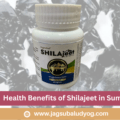 Health Benefits of Shilajeet in Summer